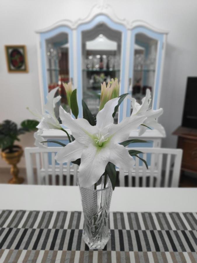La Orquidea Lejlighed Vega de San Mateo Eksteriør billede
